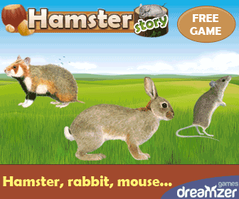HamsterStory: free online game, take care of a rodent